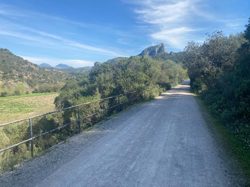 From Ronda: Via Verde de la Sierra Easy Cycling Tour - Bicycles, Helmet, Lights, and the Small Comforts That Add Up