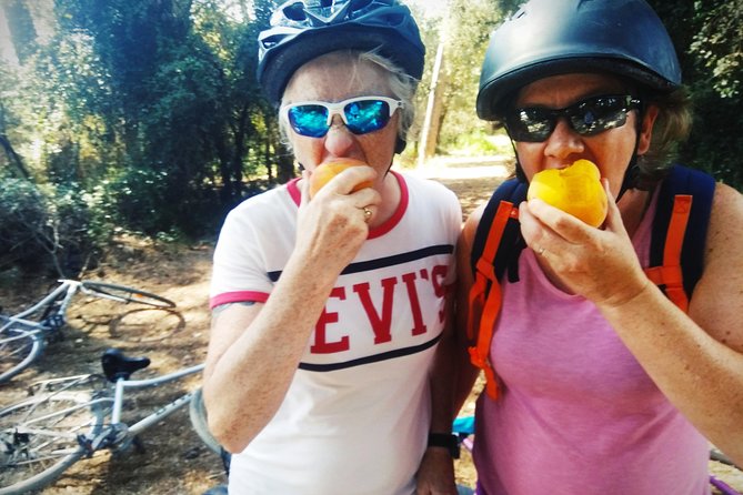From Sitges: Bike Tour and Winery Visit with Free Hotel Pick Up. - Bikes and Pacing: Comfortable for Mixed Groups