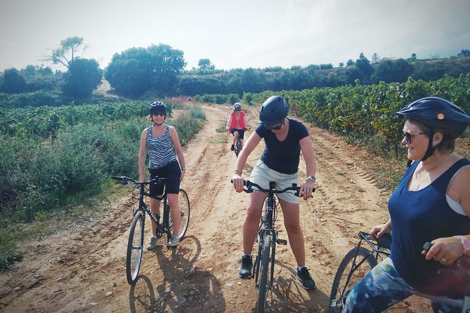 From Sitges: Bike Tour and Winery Visit with Free Hotel Pick Up. - What About Lunch and Food?