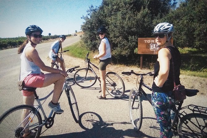 From Sitges: Bike Tour and Winery Visit with Free Hotel Pick Up. - Price Check: Is $111 Worth It?