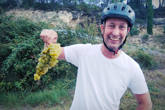 From Sitges: Bike Tour and Winery Visit with Free Hotel Pick Up. - The Bike Ride Through Alt Penedes: Easy Pace, Real Views