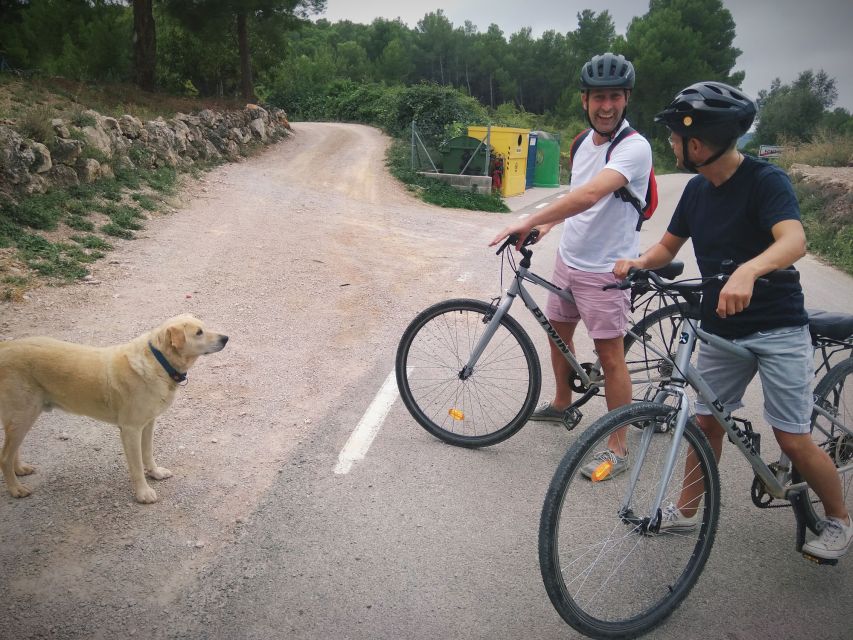 From Sitges: Cycling Tour with Winery visit and Tasting - Who Should Book This Sitges Wine Cycling Tour (and Who Might Skip It)