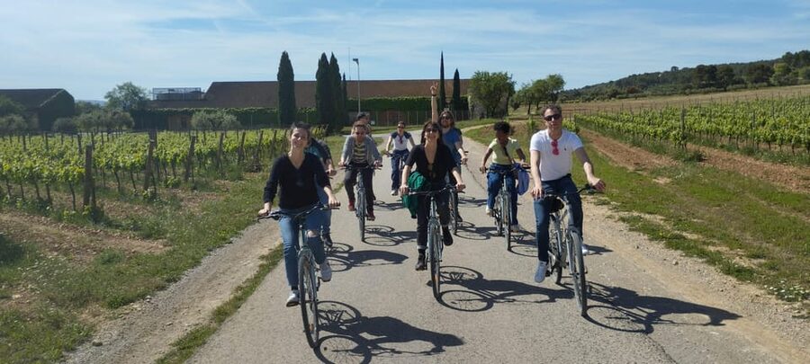 From Sitges: Cycling Tour with Winery visit and Tasting - Entering a Winery Run for 9 Generations: What the Cellar Visit Actually Teaches