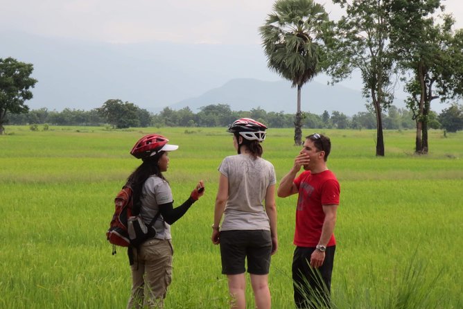Full Day Cycling tour to Sukhothai Historical Park - Mountain bike comfort: 24 gears, helmet, and how to ride smart