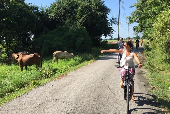 Full Day Cycling tour to Sukhothai Historical Park - Pickup, transfers, and where the day starts