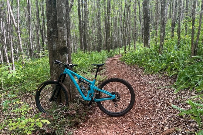 Fun Mountain Bike riding on trails in Maui Hawaii! - Key highlights you’ll care about