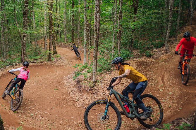 Fun Mountain Bike riding on trails in Maui Hawaii! - Flow trails, berms, and roots: what to expect technically