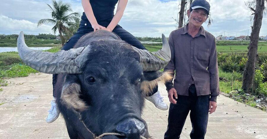 Funny day cycling, Buffalo riding and Basket boat - Water buffalo ride with the farmer and rice-field talk
