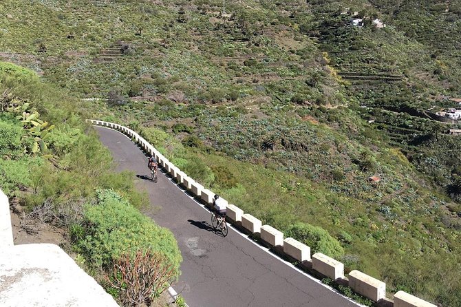 Garachico - Masca road bike loop - Price and logistics: what $69.79 covers (and what it doesn’t)