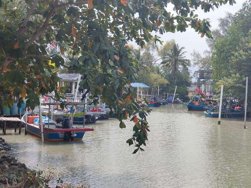 George Town: Balik Pulau Countryside Morning Cycling Tour - The 40-Foot Container Art Photo Stop