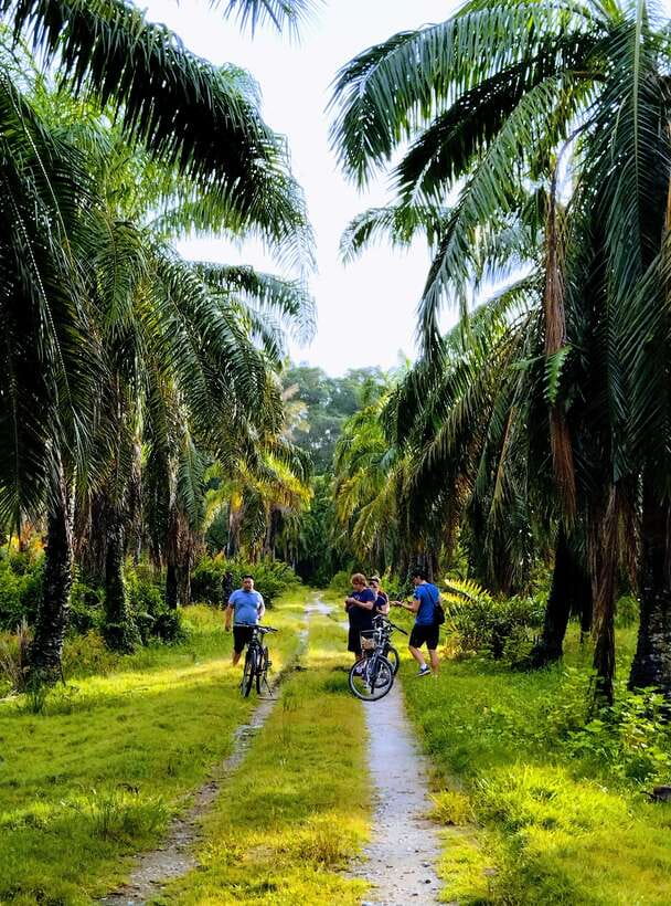 George Town, Penang: Malay Countryside Cycling - Why Balik Pulau on a bike beats staying in George Town