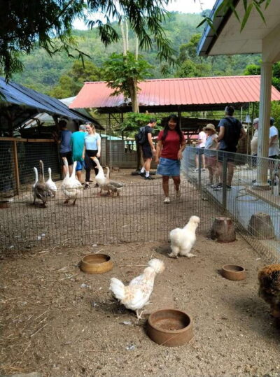 George Town, Penang: Malay Countryside Cycling - Getting there: the air-conditioned van and the early start
