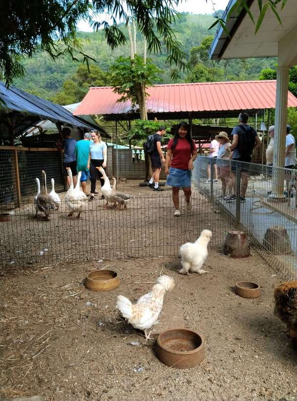 George Town, Penang: Malay Countryside Cycling - Getting there: the air-conditioned van and the early start