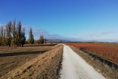 Great Escape Self-Guided Scenic Cycle Winery Tour from Napier - The 28km ride: coastal paths first, then Tukituki vineyards
