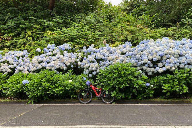 Guided Electric Mountain Bike in Sete Cidades - Key takeaways for Sete Cidades by electric bike