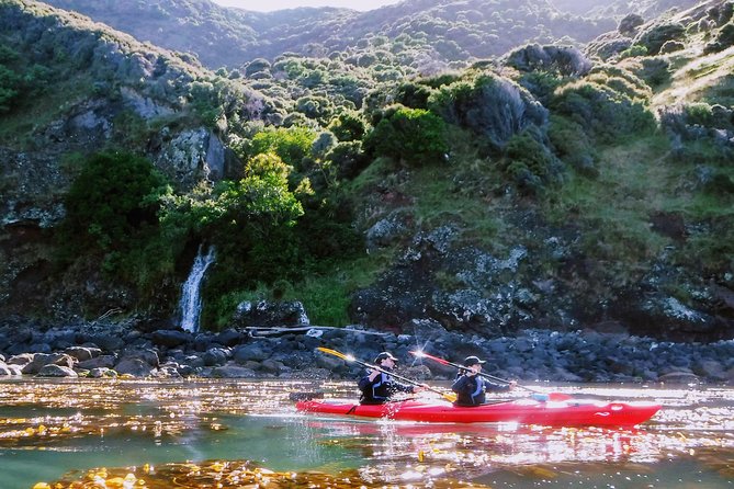 Guided Electric Mountain Bike & Sea Kayak Tour in Akaroa - Why this e-bike plus sea-kayak combo works in Akaroa