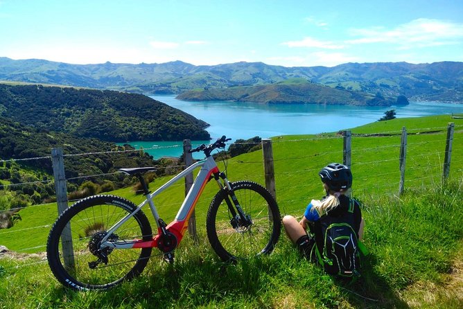 Guided Electric Mountain Bike & Sea Kayak Tour in Akaroa - Paddling in the crater sea kayak safari for wildlife spotting