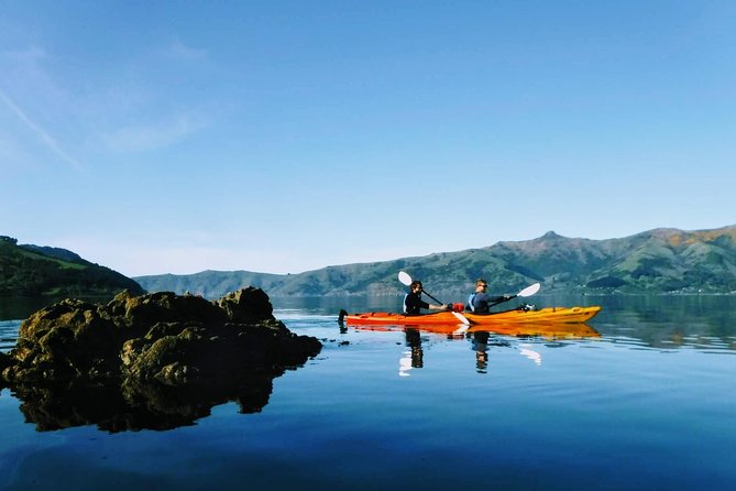 Guided Electric Mountain Bike & Sea Kayak Tour in Akaroa - What you’ll actually do, hour by hour (and how to prepare)