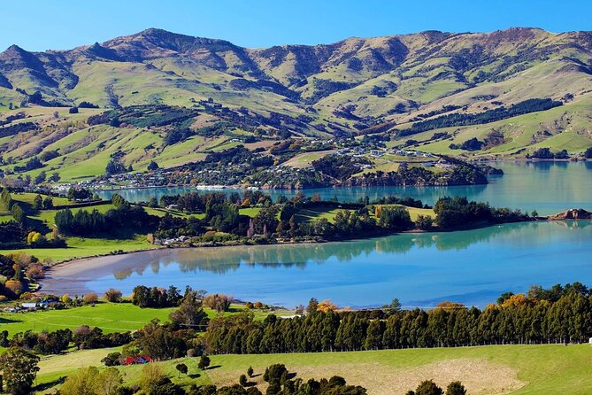 Guided Electric Mountain Bike Tour- Akaroa Explorer - What the 2.5-hour ride really feels like