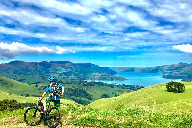 Guided Electric Mountain Bike Tour- Akaroa Explorer - Gear that helps on real roads (not just on paper)