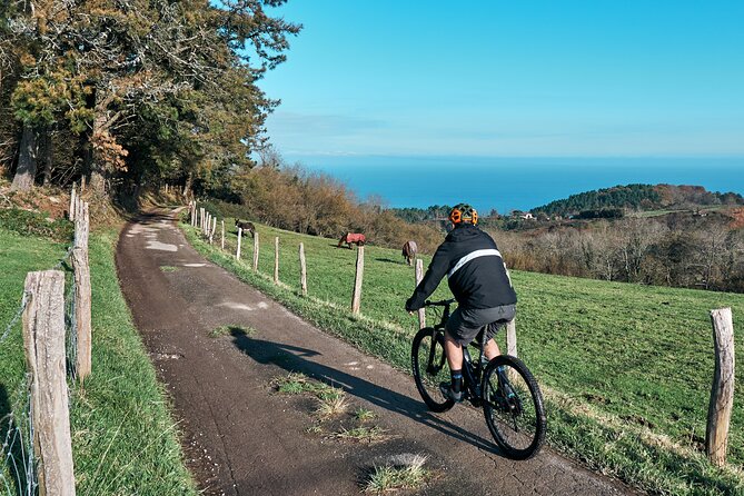 Guided Electric Mountain Bike Tour in Gipuzkoa - Price and Timing: What You’re Paying For