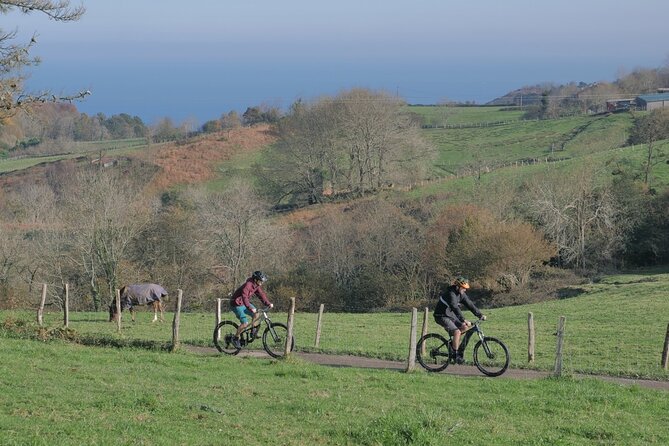 Guided Electric Mountain Bike Tour in Gipuzkoa - Who This Tour Fits Best (and Who Might Want Something Else)