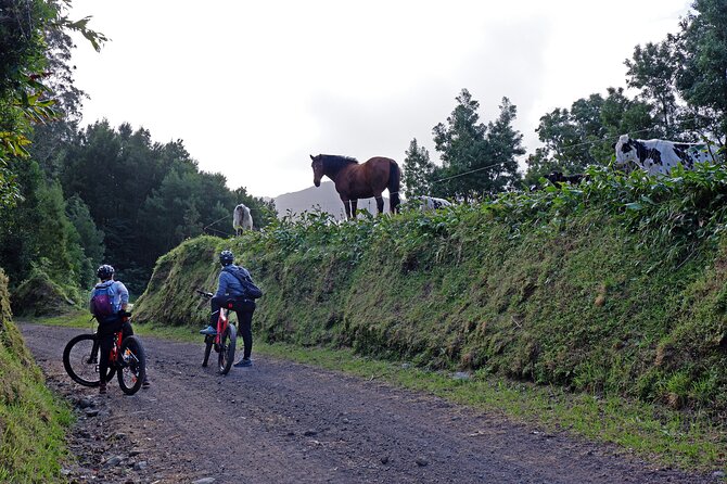 Guided Electric Mountain bike Tour Ribeira Grande - Key highlights you should care about