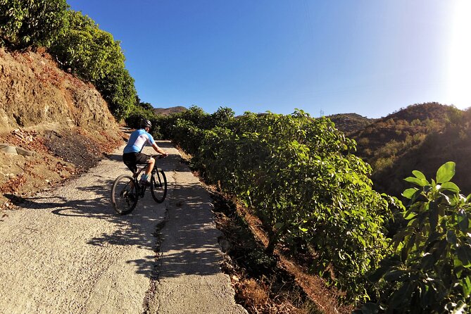 Guided Mountain Bike Adventure - Timing and pacing: how to plan for a 5-hour experience