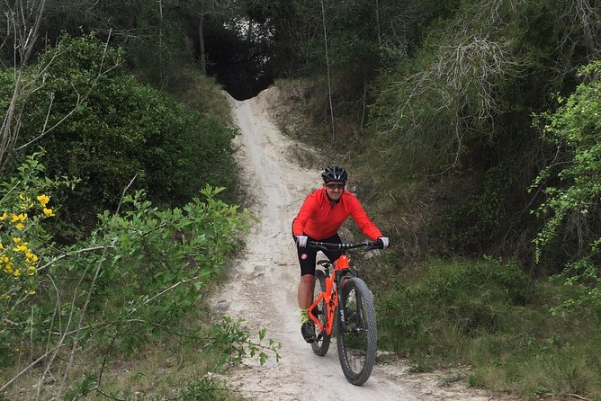 Guided mountain bike route - "Pata Negra" Tour - Key highlights you’ll feel on the ride