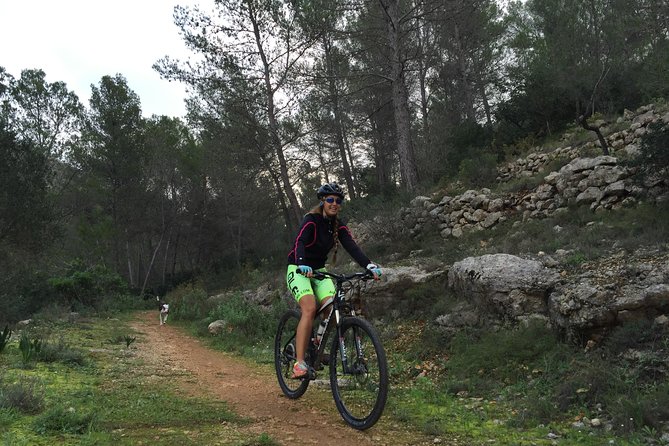 Guided mountain bike route - "Pata Negra" Tour - Stop one: Riu-rao, the Millennial Olivera, and that coffee break you’ll thank yourself for