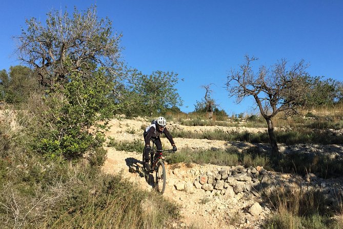 Guided mountain bike route - "Pata Negra" Tour - Duration: how to plan your morning and where the time goes