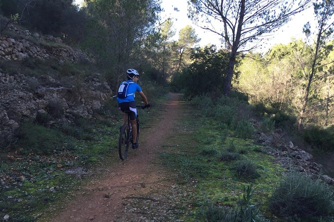 Guided mountain bike route - "Pata Negra" Tour - The e-bike advantage: less work, more view time