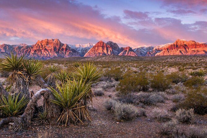 Guided Mountain Bike Tour of Mustang Trail in Red Rock Canyon - Key highlights before you pedal