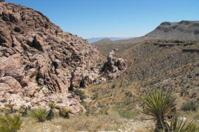 Guided Mountain Bike Tour of Mustang Trail in Red Rock Canyon - Price and value: what $149.99 covers (and why it matters)