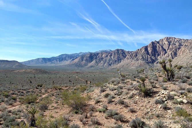 Guided Mountain Bike Tour of Mustang Trail in Red Rock Canyon - Red Rock stop: what you’ll actually see before the tires roll