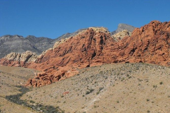 Guided Mountain Bike Tour of Mustang Trail in Red Rock Canyon - Mustang Trail basics: the 1-mile climb into the 2-mile descent