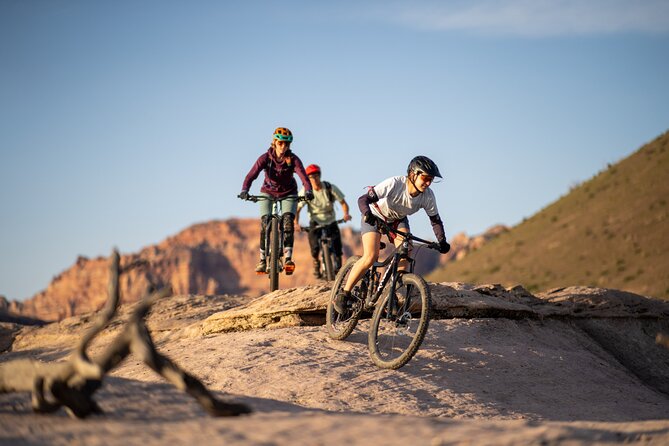 Guided Mountain Bike Tours - Zion - Key hits before you ride