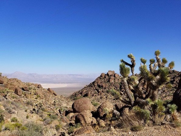 Guided or Self-Guided Road Bike Tour of Red Rock Canyon - Getting from the Strip to Red Rock Canyon in About 4 Hours