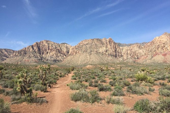 Guided or Self-Guided Road Bike Tour of Red Rock Canyon - Red Rock Canyon Scenery: Cliffs, Desert Light, and Wildlife Moments