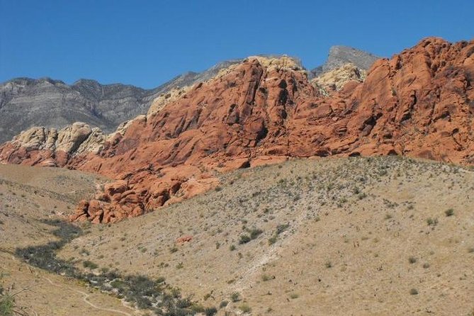 Guided or Self-Guided Road Bike Tour of Red Rock Canyon - Price and Value for a Half-Day Escape from the Casinos