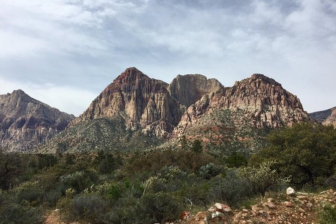 Guided or Self-Guided Road Bike Tour of Red Rock Canyon - What to Bring (and What to Watch for)