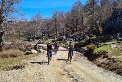 guided ride on the Plateau du Coscione by electric mountain bike - Stop 1: pozzines, sheepfolds, GR 20 refuge country, and endemic plants
