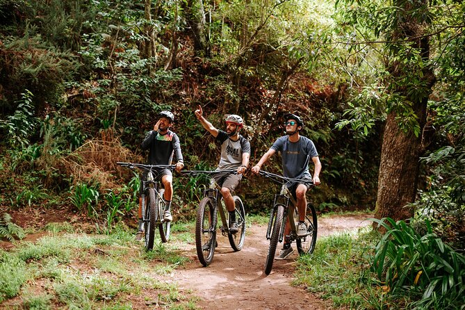 Guided Tour Electric Mountain Bike Experience - Key points before you go
