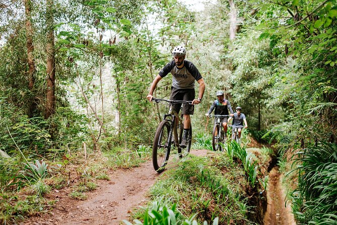 Guided Tour Electric Mountain Bike Experience - Getting started: minibus transfer to Poiso (1412 m) and an easier first push