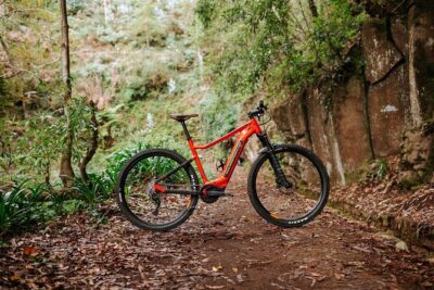 Guided Tour Electric Mountain Bike Experience - Santo da Serra to Camacha: dirt roads, levadas, and a mid-tour breather
