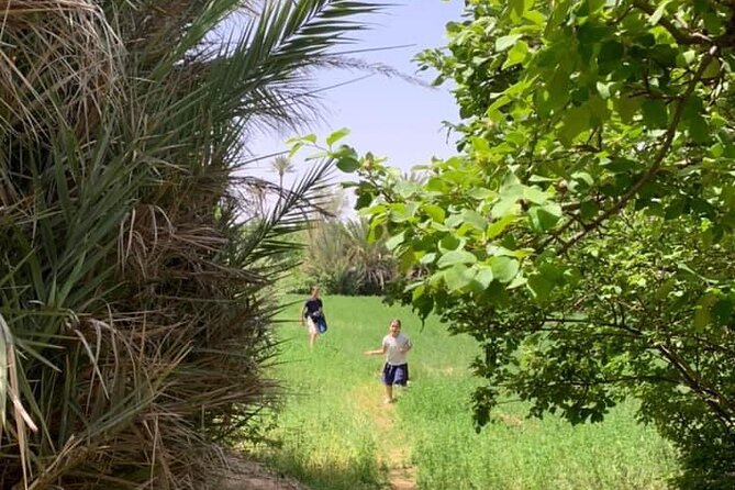 Guided tour of the Palmerie de Skoura by electric mountain bike - Key highlights you can actually plan around