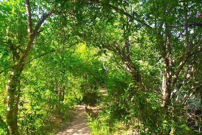 Guided tour of the Palmerie de Skoura by electric mountain bike - The guide factor: why names like Abdu and Hassan matter