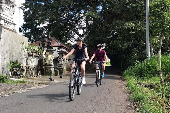 Half Day Cycling Tour ( Manual Bike ) - Bresela Rice Fields and Irrigation Systems: Seeing How Water Shapes the Paddies