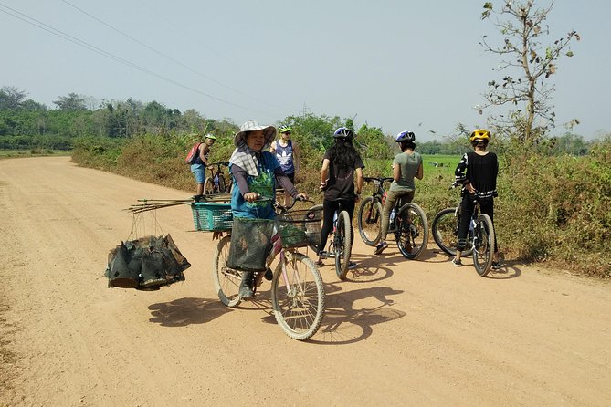 Half Day Cycling Tour to the White temple - Chiang Rai to Wat Rong Khun, with a bike-first rhythm