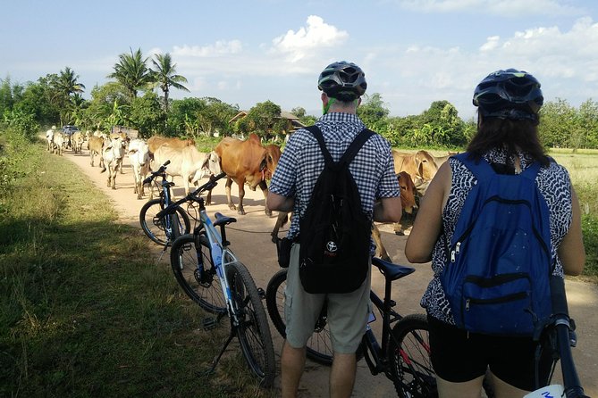 Half Day Cycling Tour to the White temple - A guide-led day: the names that keep showing up